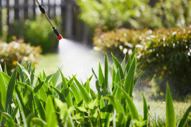 Tamper-Resistant Bait Stations for Rodents in Vinita Park