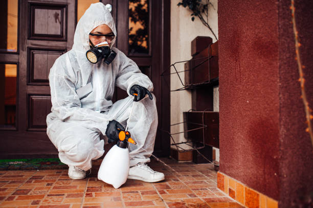 Attic and Crawl Space Rodent Treatment in Vinita Park